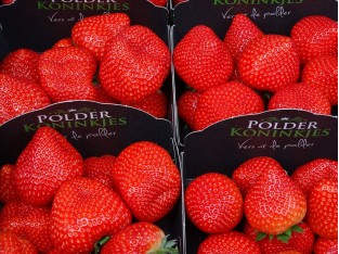 Hollandse aardbeien, 400 gram