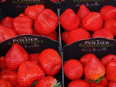 Hollandse aardbeien, 400 gram