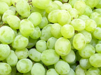 Muskaat druiven