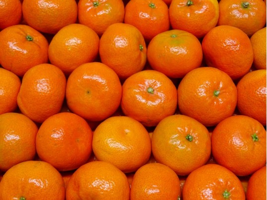 Mandarijnen, Clementine