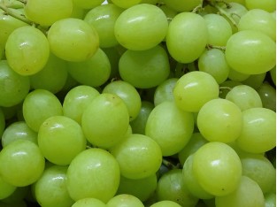 Witte druiven, pitloos